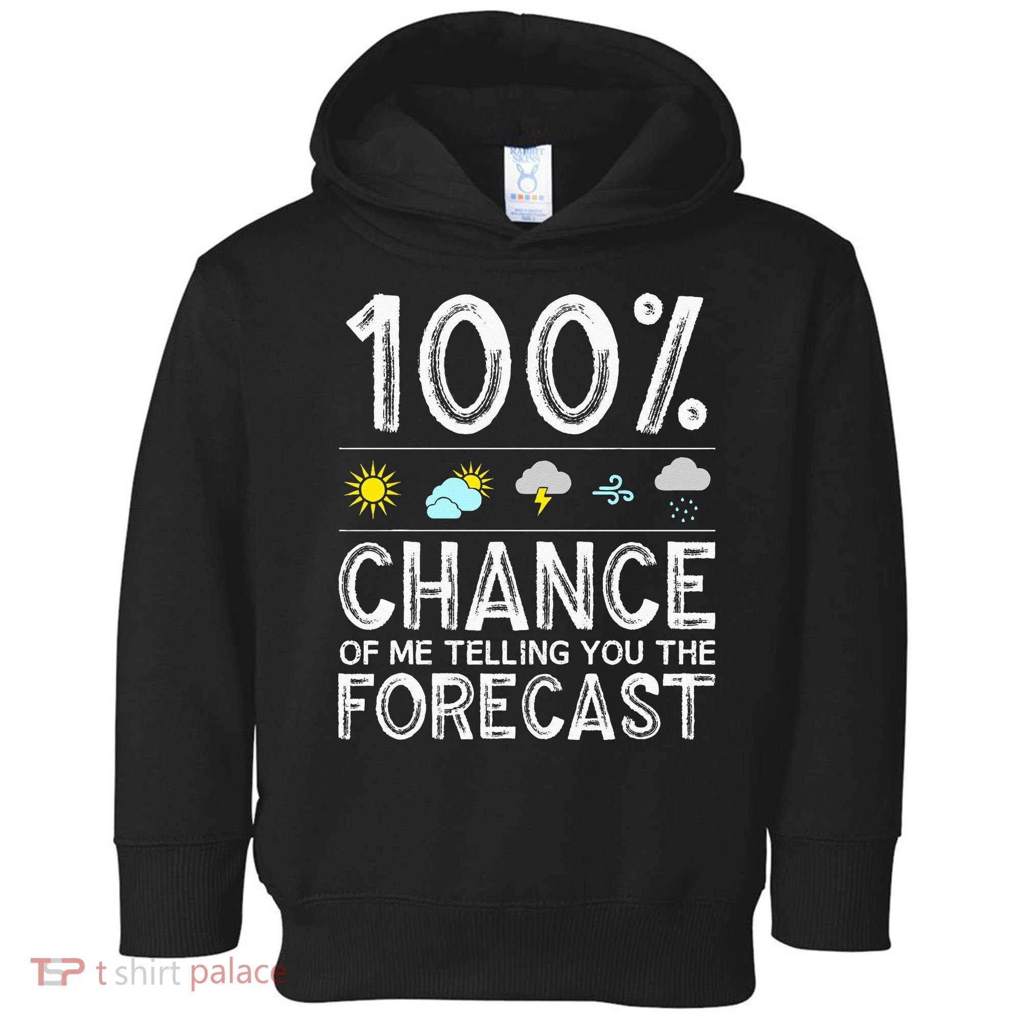 Funny Meteorology Gift Weather Enthusiasts Cool Weatherman Toddler Hoodie