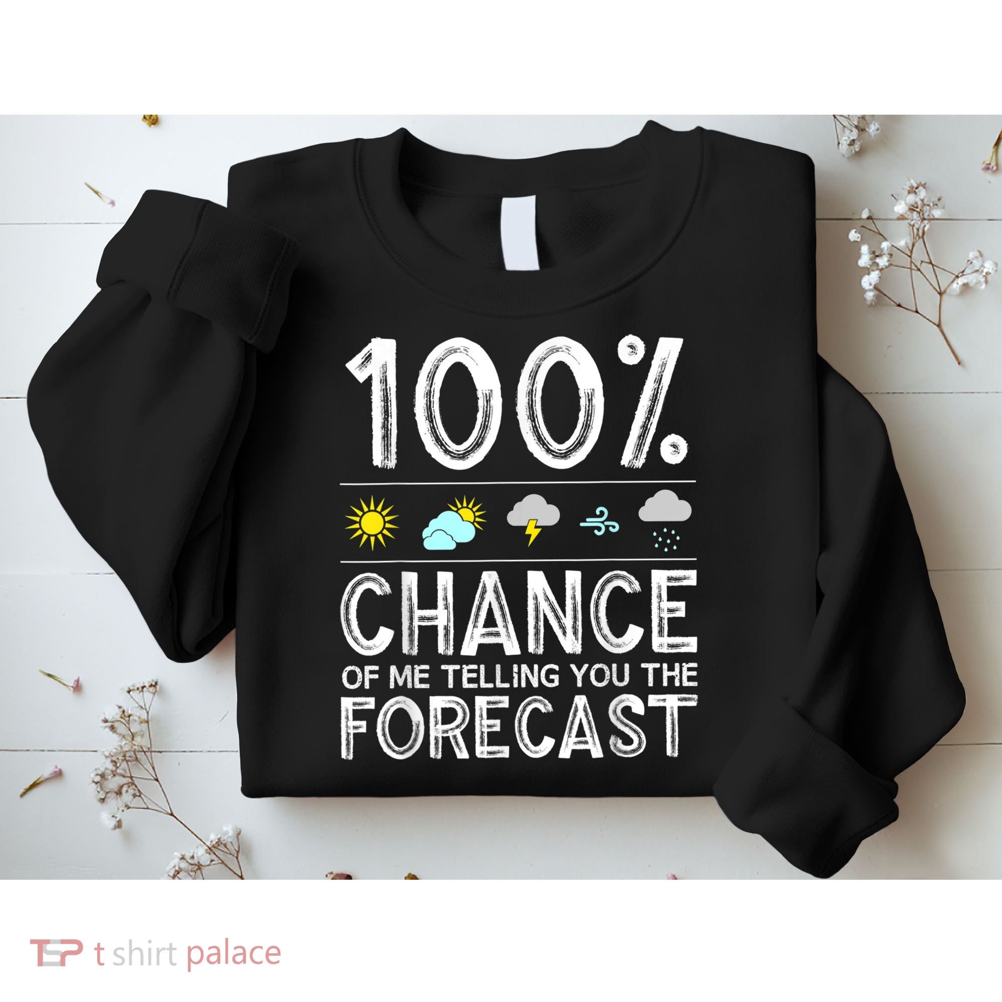 Funny Meteorology Gift For Weather Enthusiasts Cool Weatherman Gift Sweatshirt
