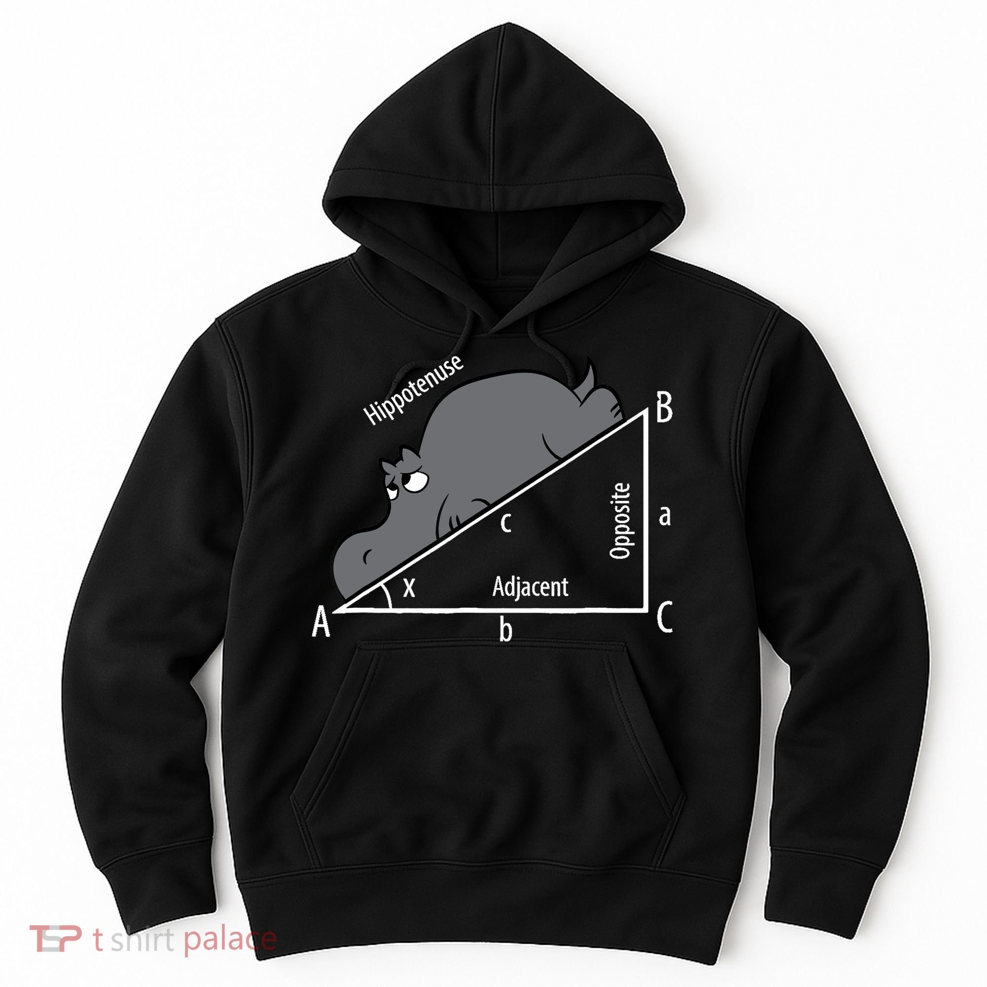 Funny Math Humor Hippotenuse Hypotenuse Funny Hoodie