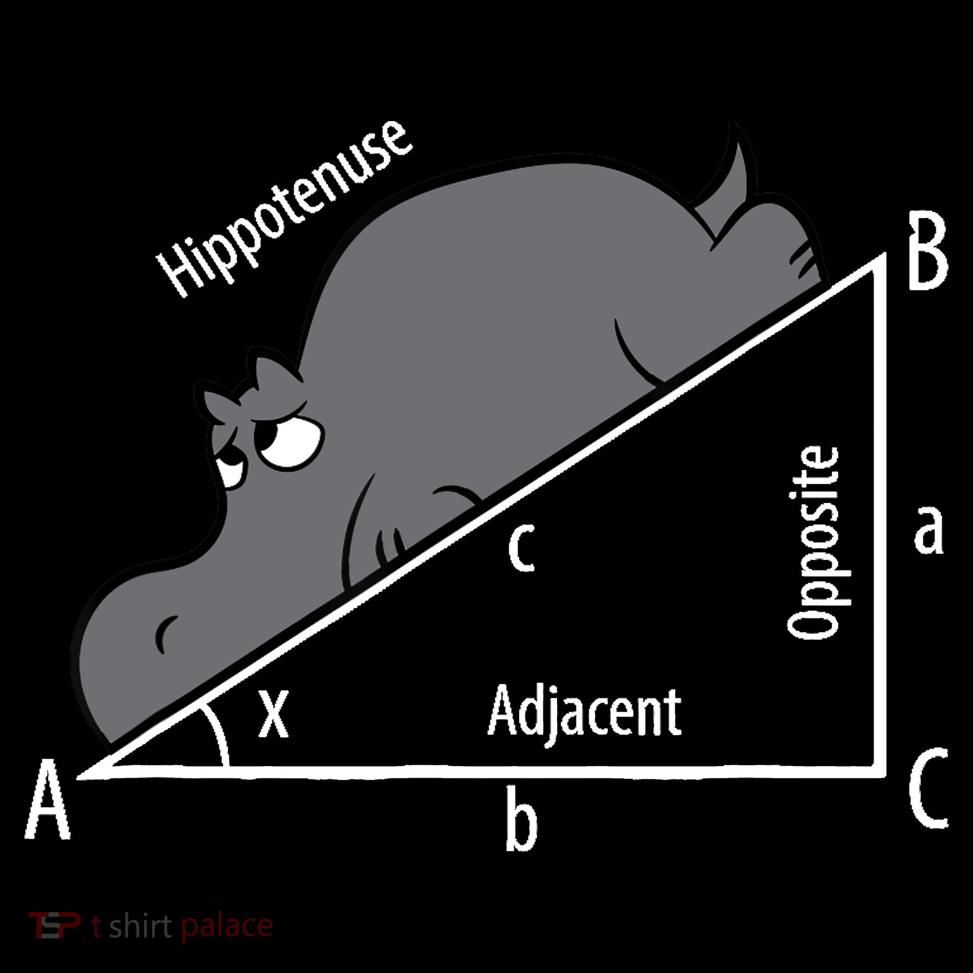 Funny Math Humor Hippotenuse Hypotenuse Funny Long Sleeve Shirt