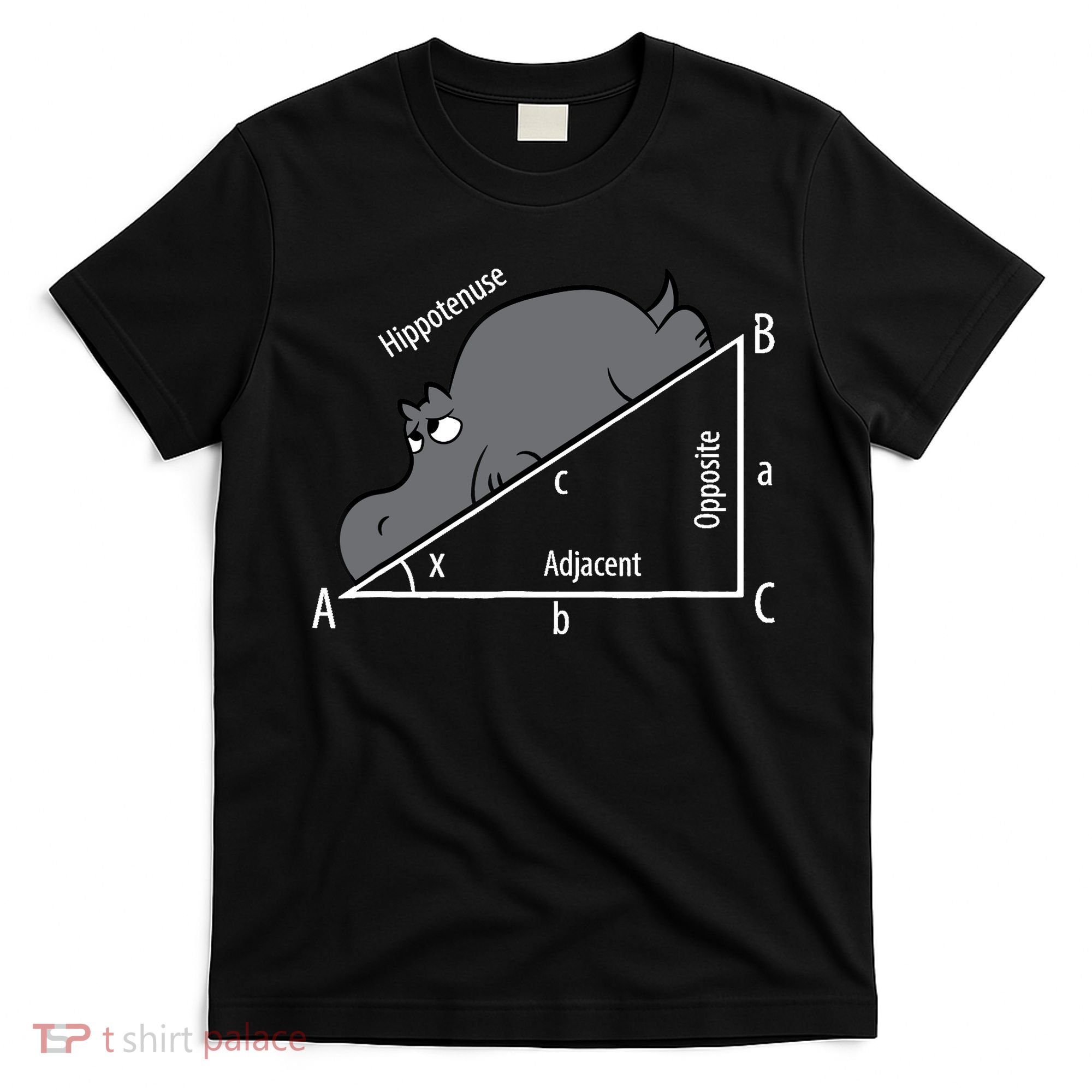 Funny Math Humor Hippotenuse Hypotenuse Funny T-Shirt