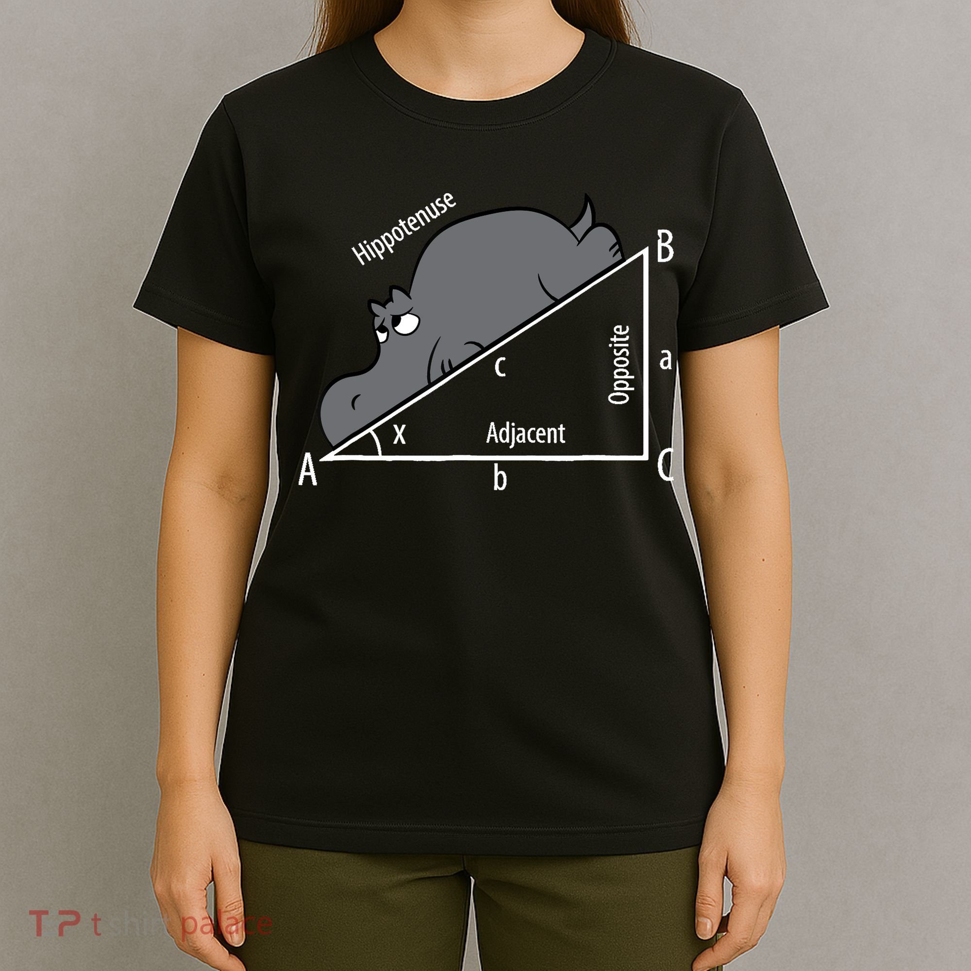 Funny Math Humor Hippotenuse Hypotenuse Funny T-Shirt