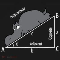 Funny Math Humor Hippotenuse Hypotenuse Funny Button thumb 1
