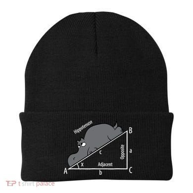 Funny Math Humor Hippotenuse Hypotenuse Funny Beanie