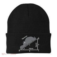 Funny Math Humor Hippotenuse Hypotenuse Funny Beanie thumb 0