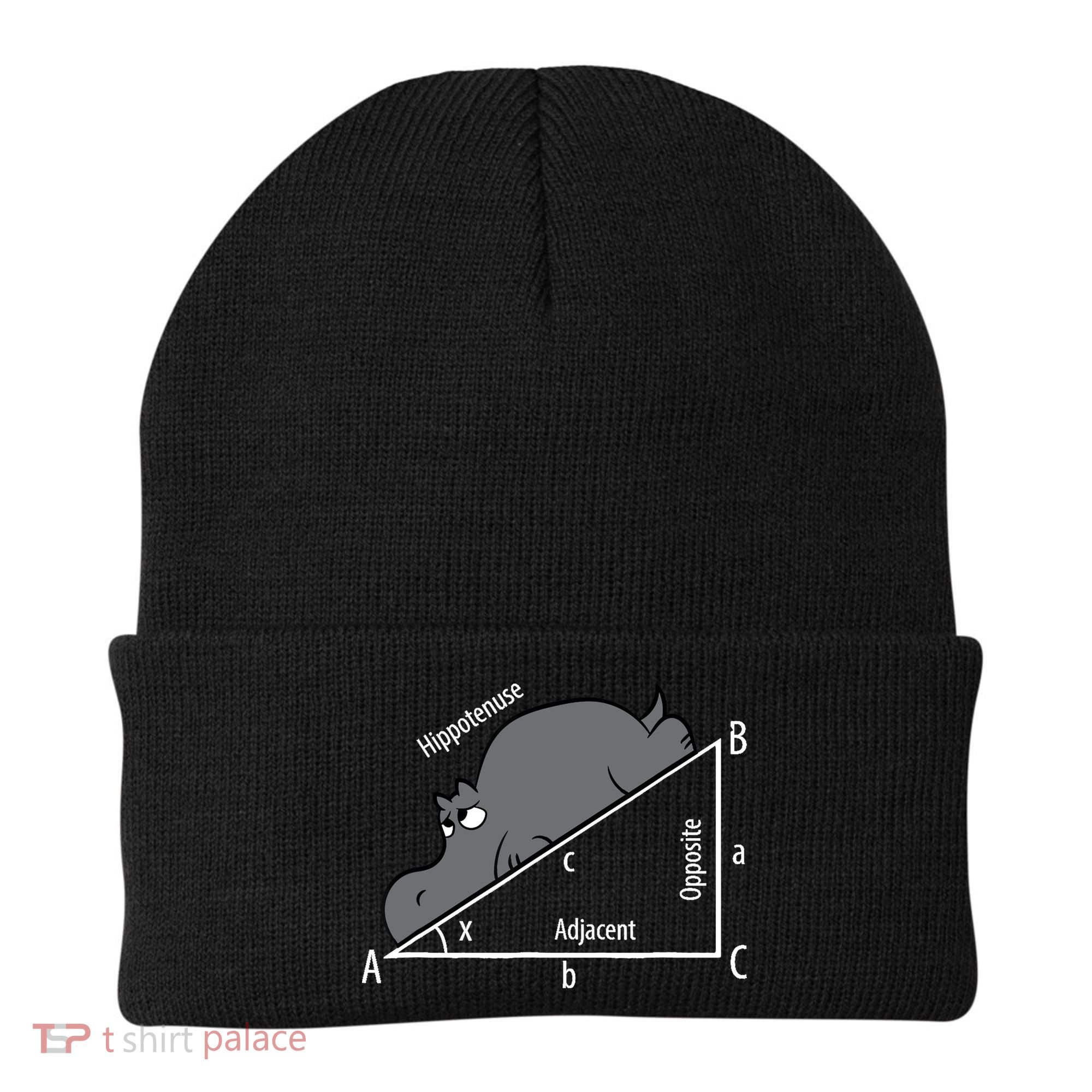 Funny Math Humor Hippotenuse Hypotenuse Funny Beanie