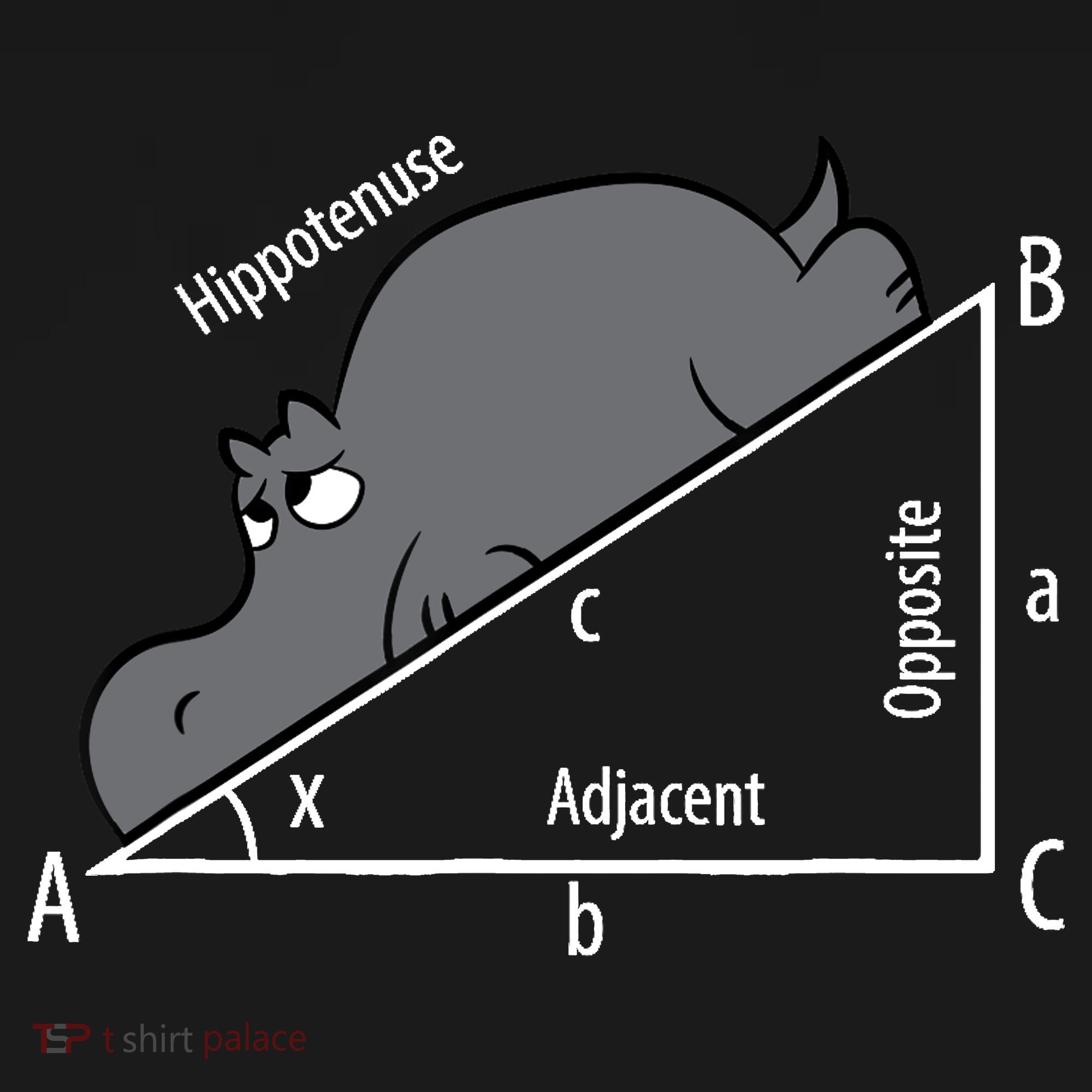 Funny Math Humor Hippotenuse Hypotenuse Funny Polo