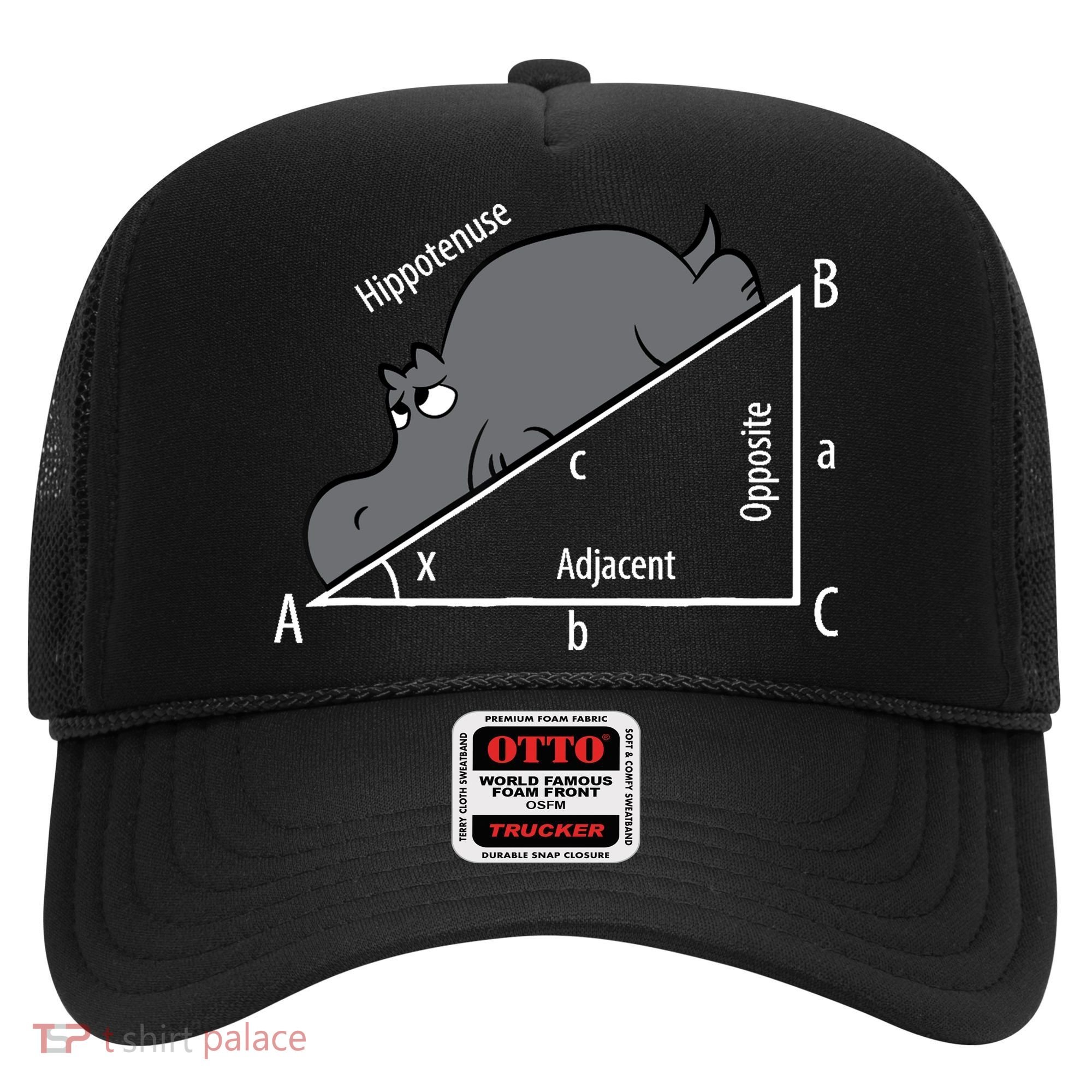 Funny Math Humor Hippotenuse Hypotenuse Funny Hat