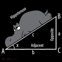 Funny Math Humor Hippotenuse Hypotenuse Funny Toddler Hoodie thumb 2