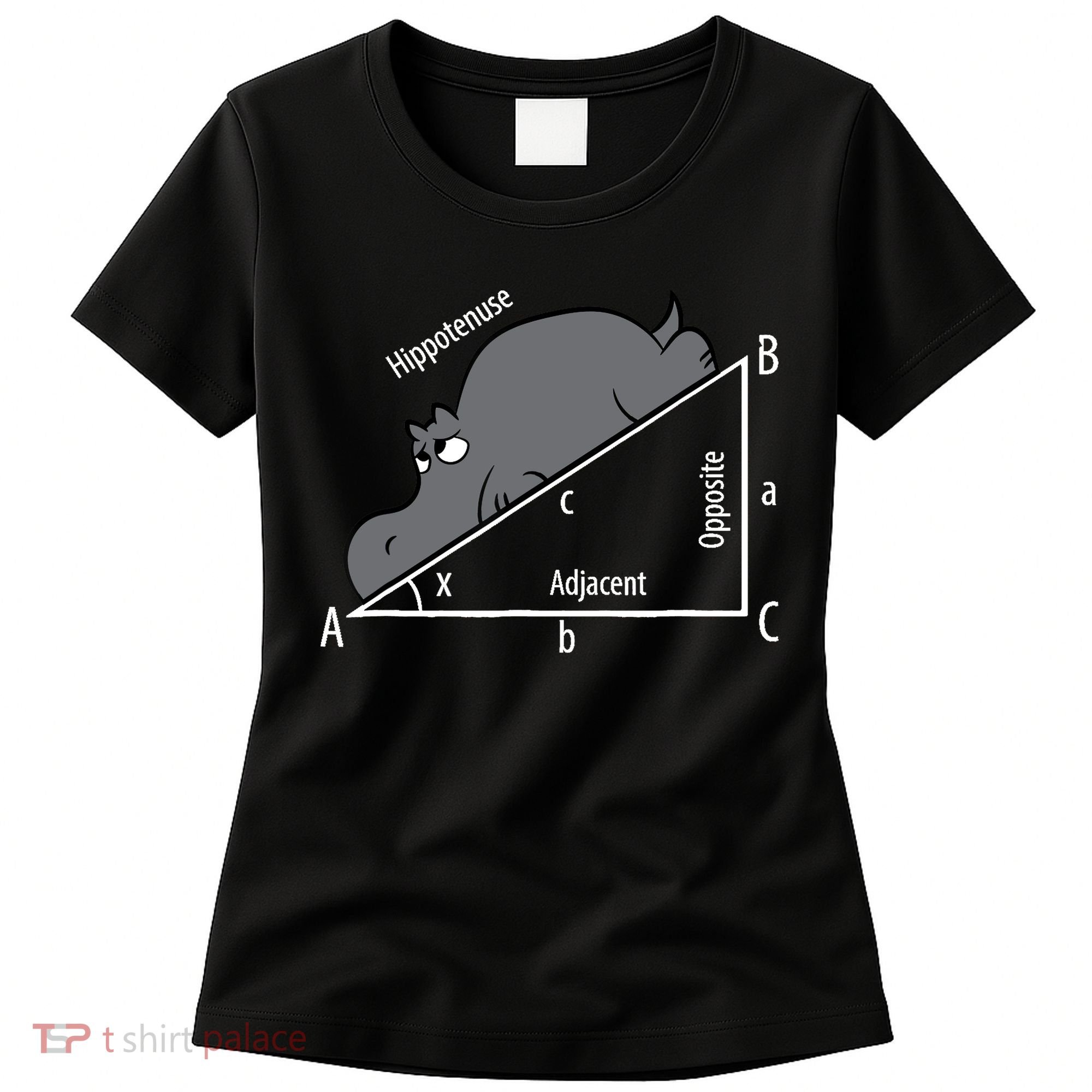 Funny Math Humor Hippotenuse Hypotenuse Funny Women's T-Shirt