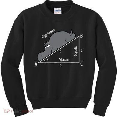 Funny Math Humor Hippotenuse Hypotenuse Funny Kids Sweatshirt