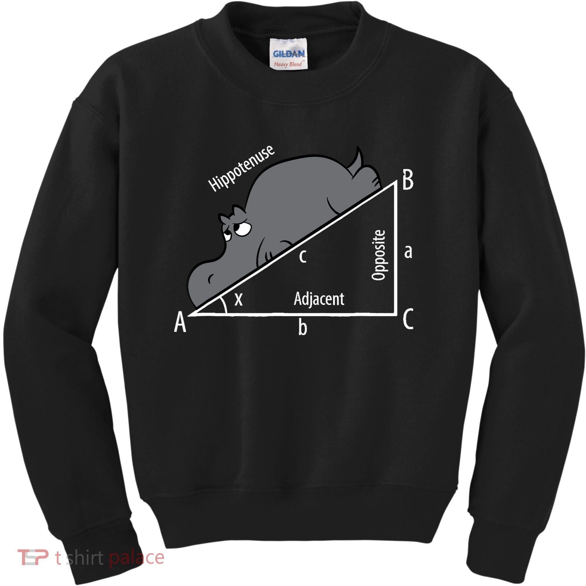 Funny Math Humor Hippotenuse Hypotenuse Funny Kids Sweatshirt