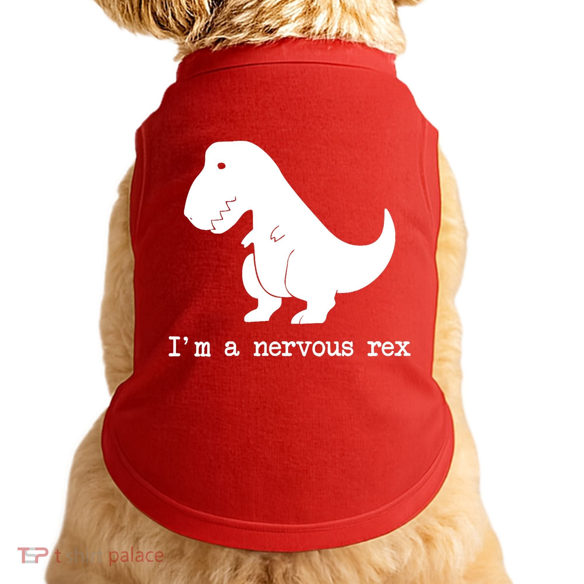 Funny Mental Health Awareness Trex Dinosaur With Anxiety Doggie Tank