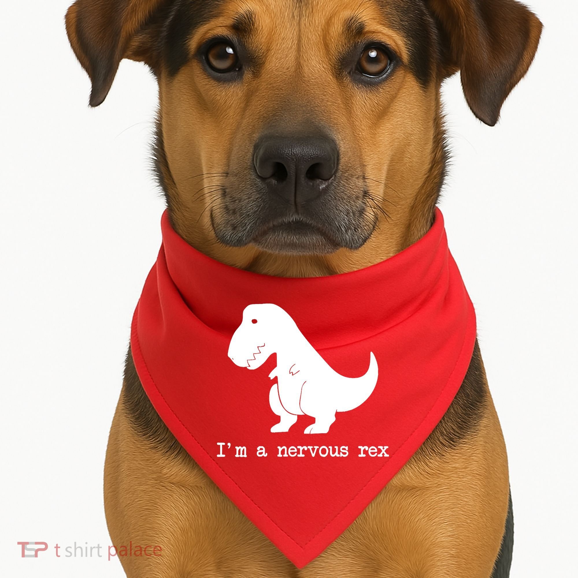 Funny Mental Health Awareness Trex Dinosaur With Anxiety USA-Made Doggie Bandana