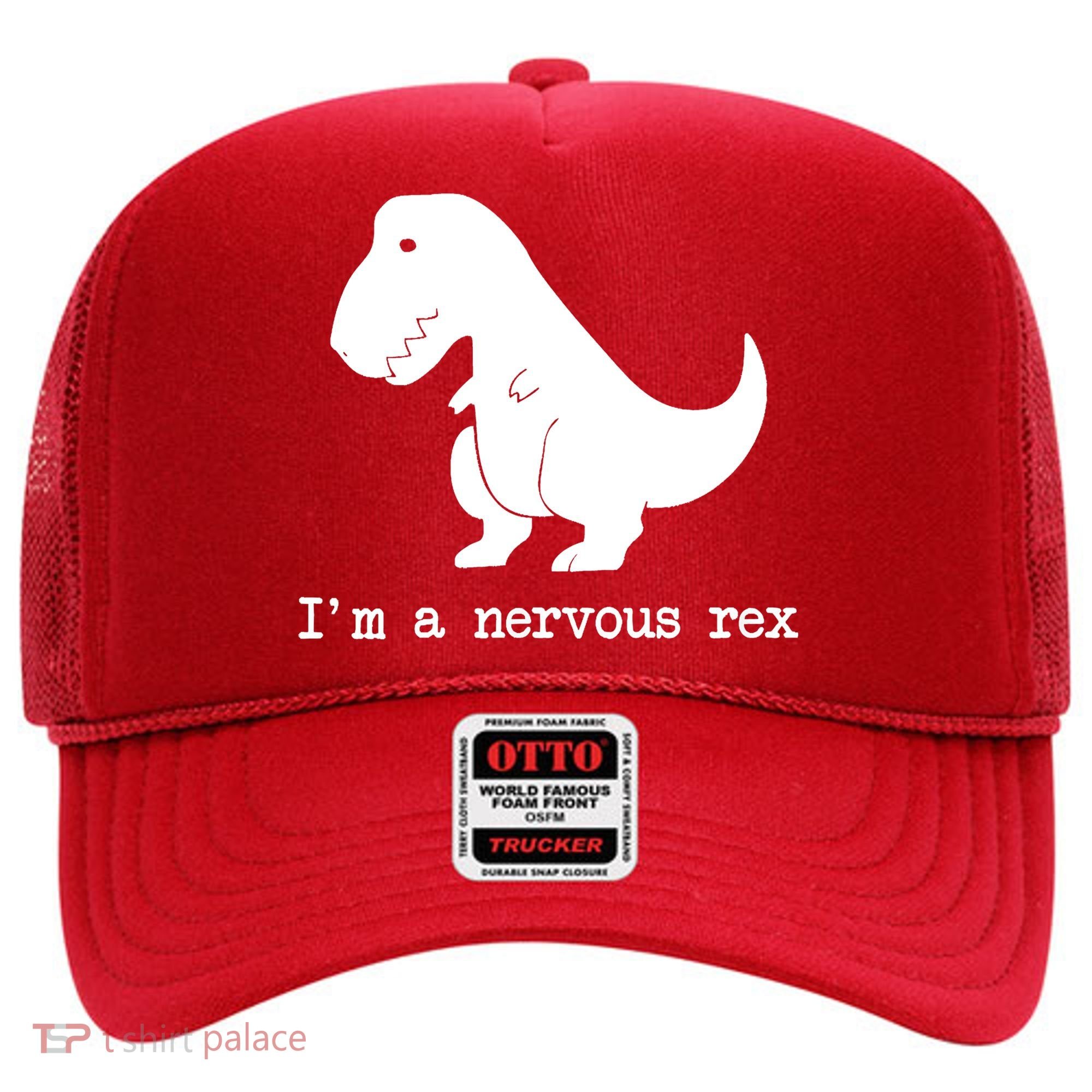 Funny Mental Health Awareness Trex Dinosaur With Anxiety Hat