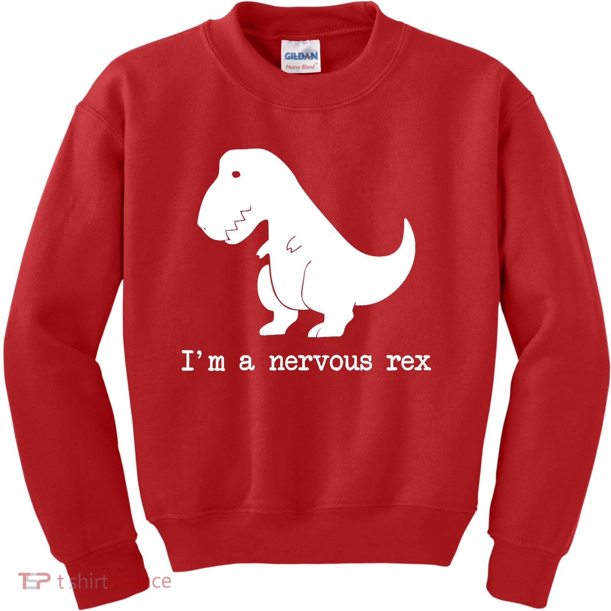 Funny Mental Health Awareness Trex Dinosaur With Anxiety Kids Sweatshirt