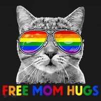 Free Mom Hugs Purride Proud Ally Cat Rainbow Flag LGBT Pride Toddler T-Shirt thumb 4