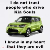 Funny Meme I Do Not Trust People Who Drive Kia Souls Joke Ornament thumb 1