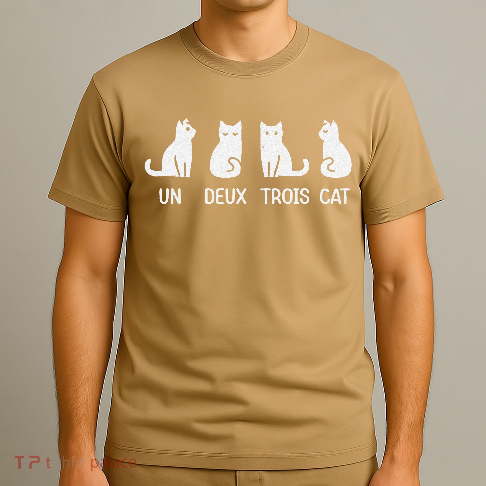 Funny Meow Kitty Un Deux Trois Cat Funny Black Cat T-Shirt