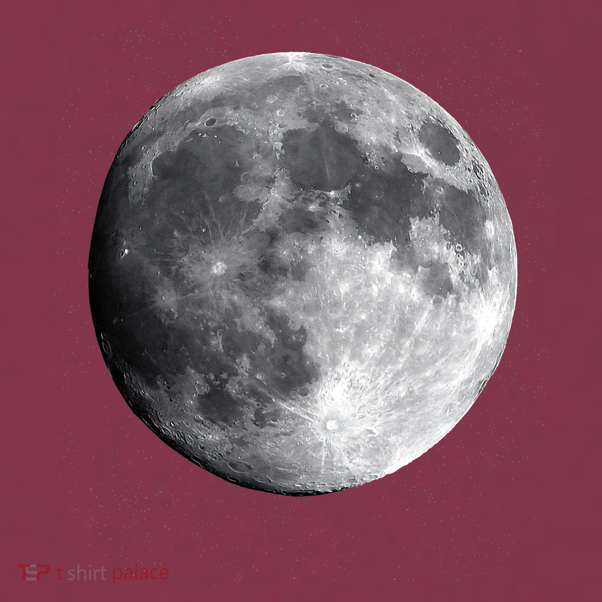 Full Moon Luna Astronomy Space Galaxy Stars 16oz Travel Tumbler