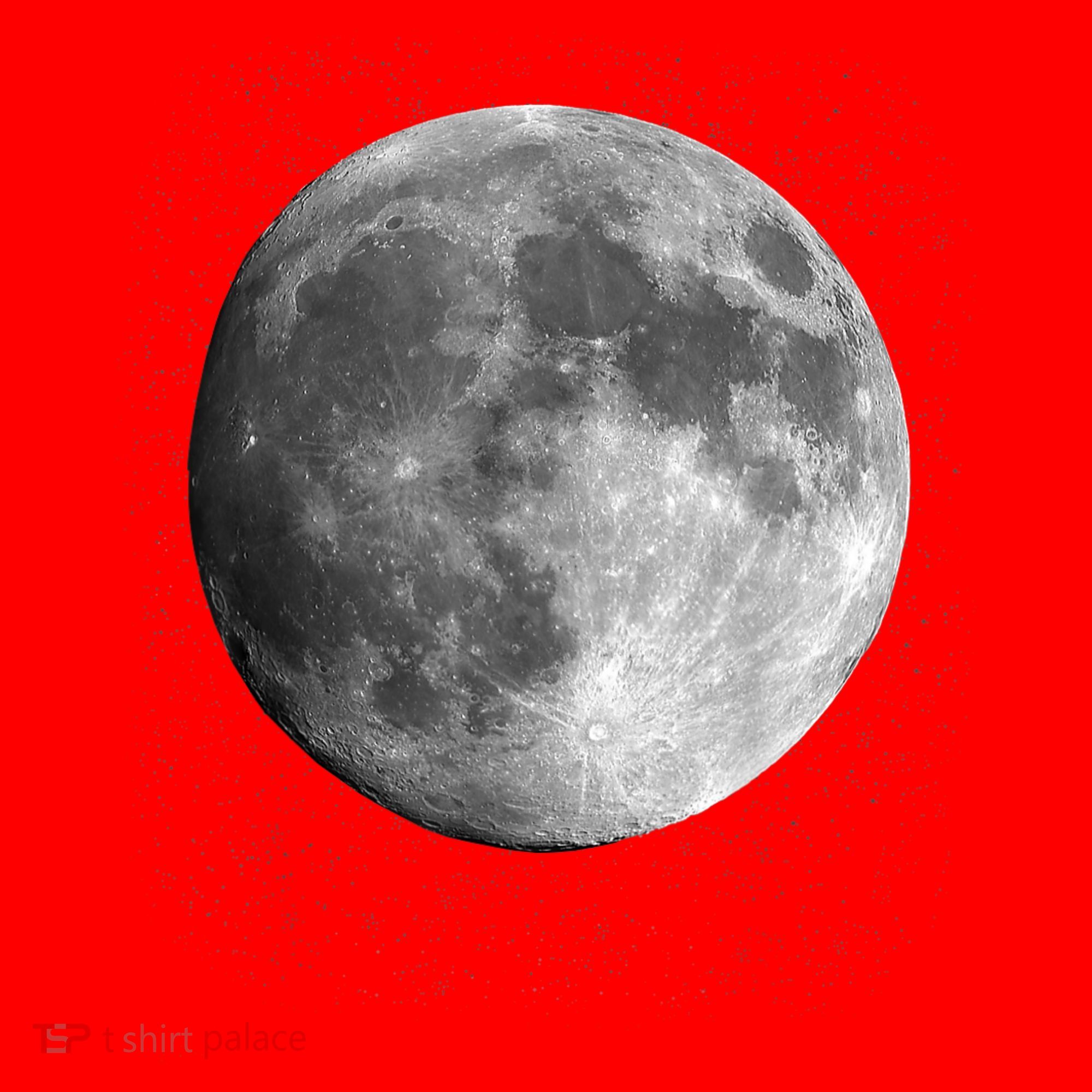 Full Moon Luna Astronomy Space Galaxy Stars Santa Hat