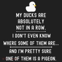 Funny Meme My Ducks Are Absolutely Not In A Row Pigeon Golf Towel thumb 3