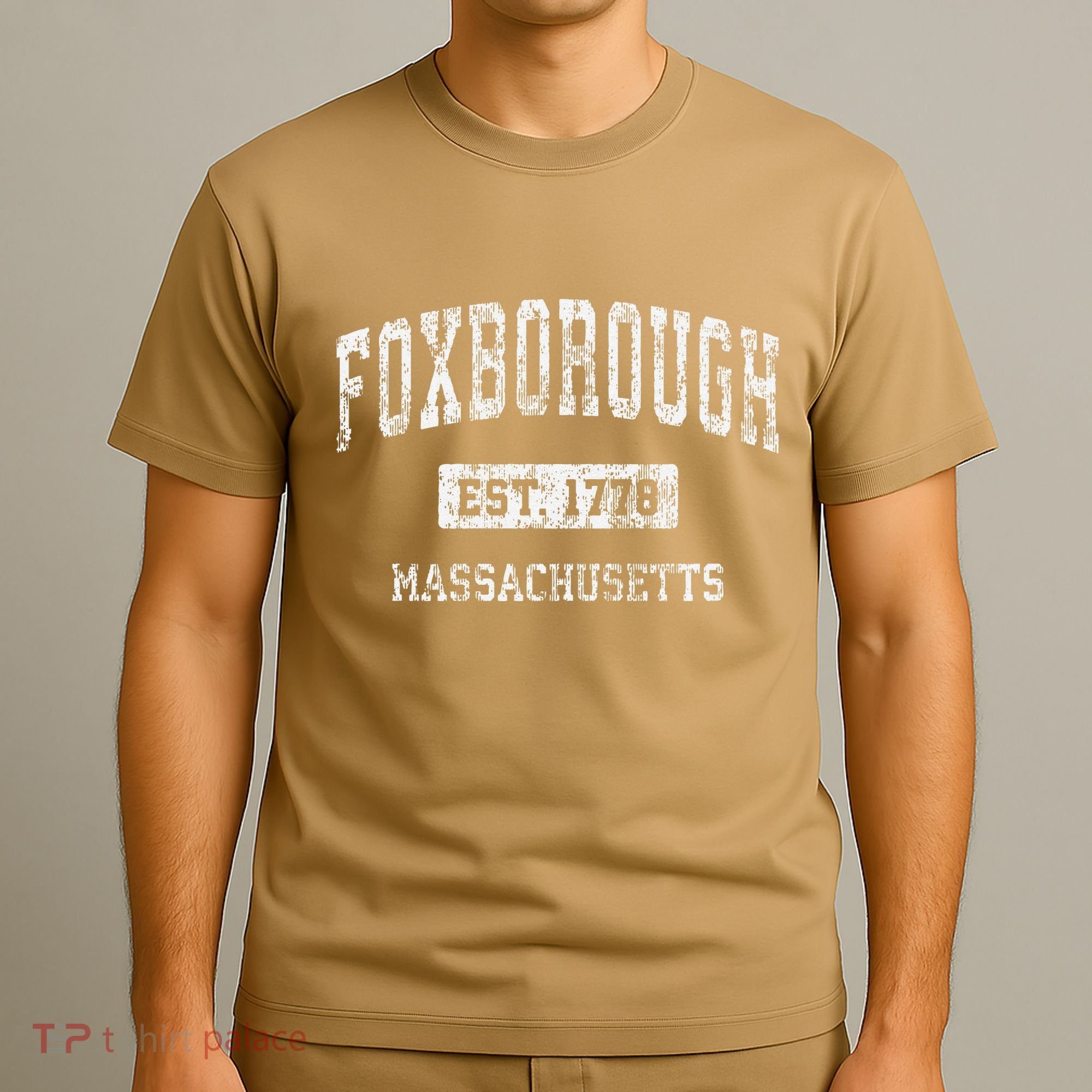 Foxborough Massachusetts Ma Vintage Established T-Shirt