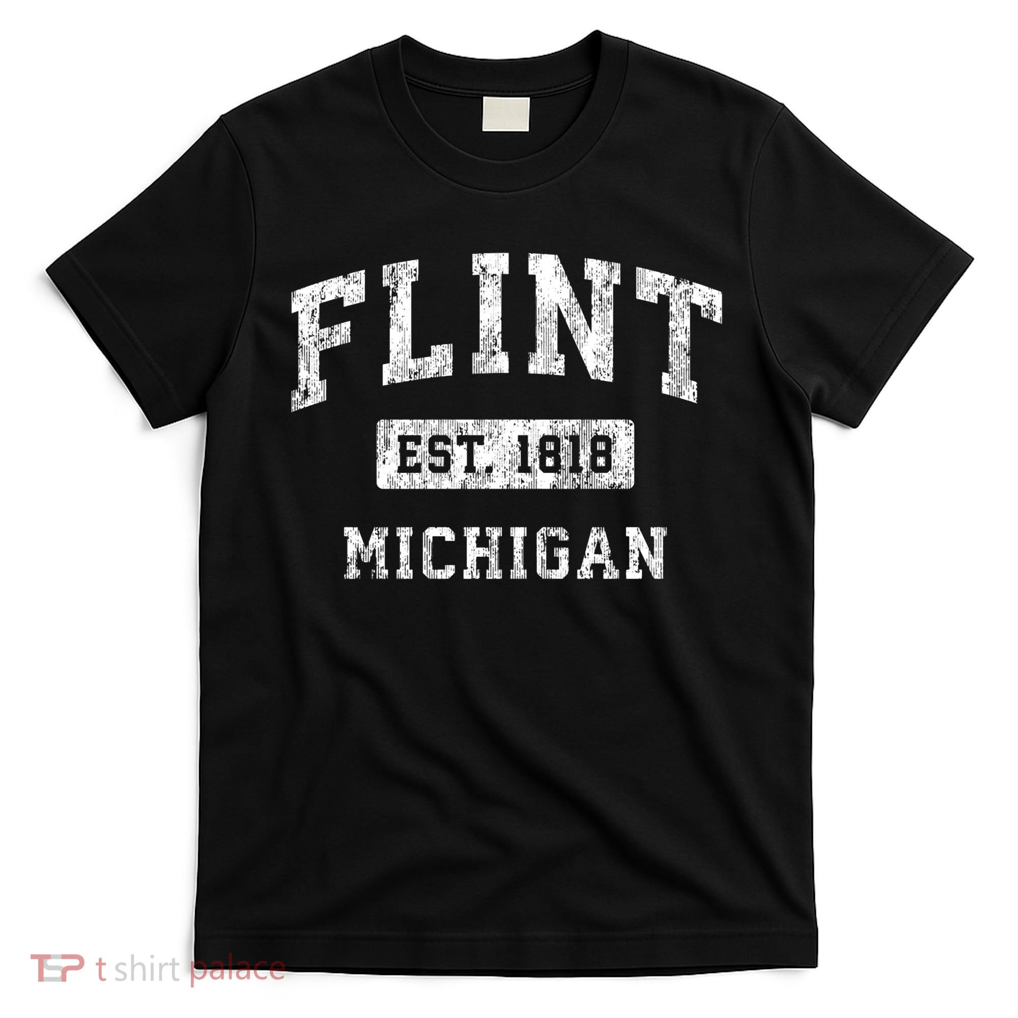 Flint Michigan Mi Vintage Established Sports T-Shirt