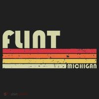 Flint Mi Michigan Funny City Home Roots Gift Retro 70s 80s Tumbler thumb 3