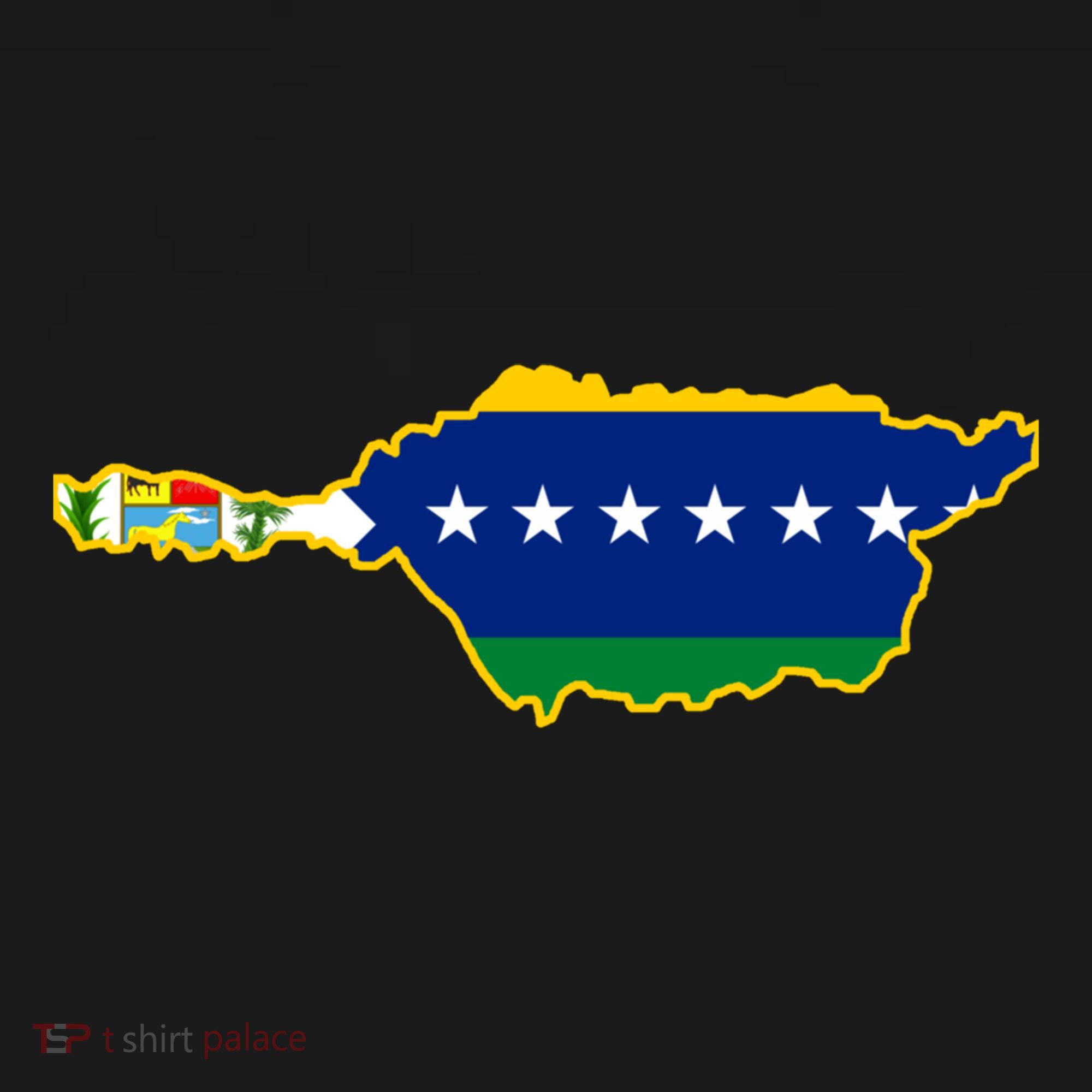 Flag Map Of Apure State Of Venezuela Gift Women's Hoodie