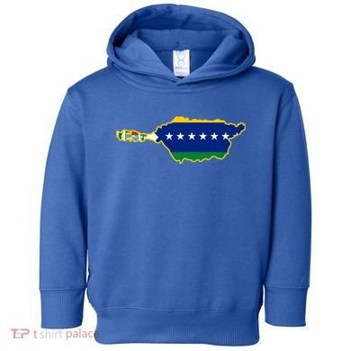 Flag Map Of Apure State Of Venezuela Gift Toddler Hoodie