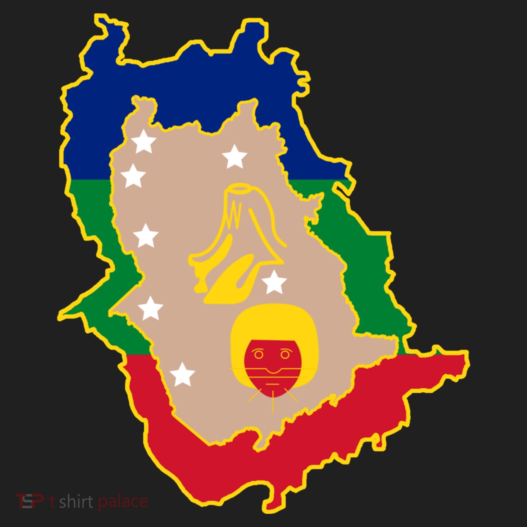 Flag Map Of Amazonas Venezuela Gift Women's Sweatshirt