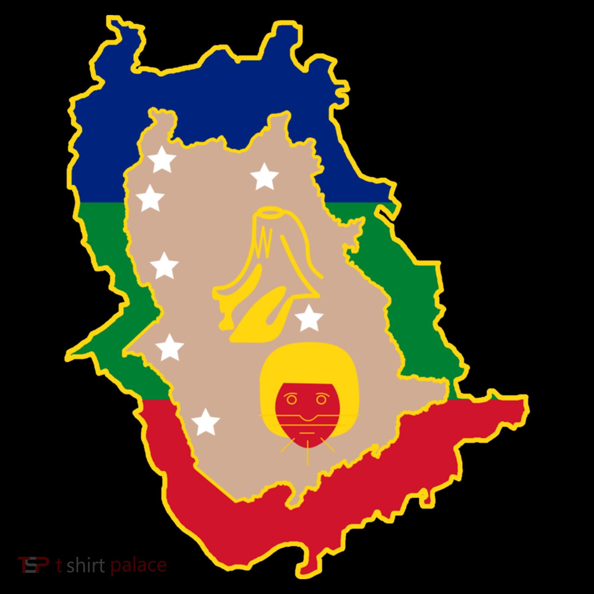 Flag Map Of Amazonas Venezuela Gift Backpack