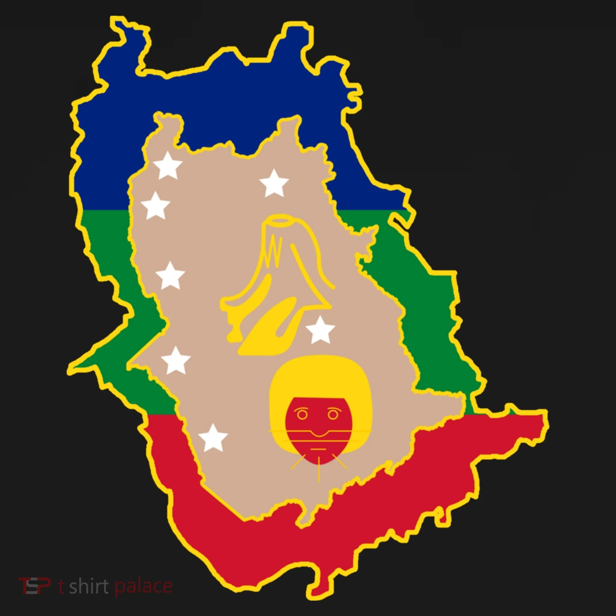 Flag Map Of Amazonas Venezuela Gift Women's Hoodie