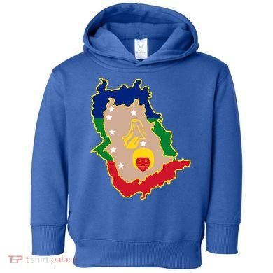 Flag Map Of Amazonas Venezuela Gift Toddler Hoodie