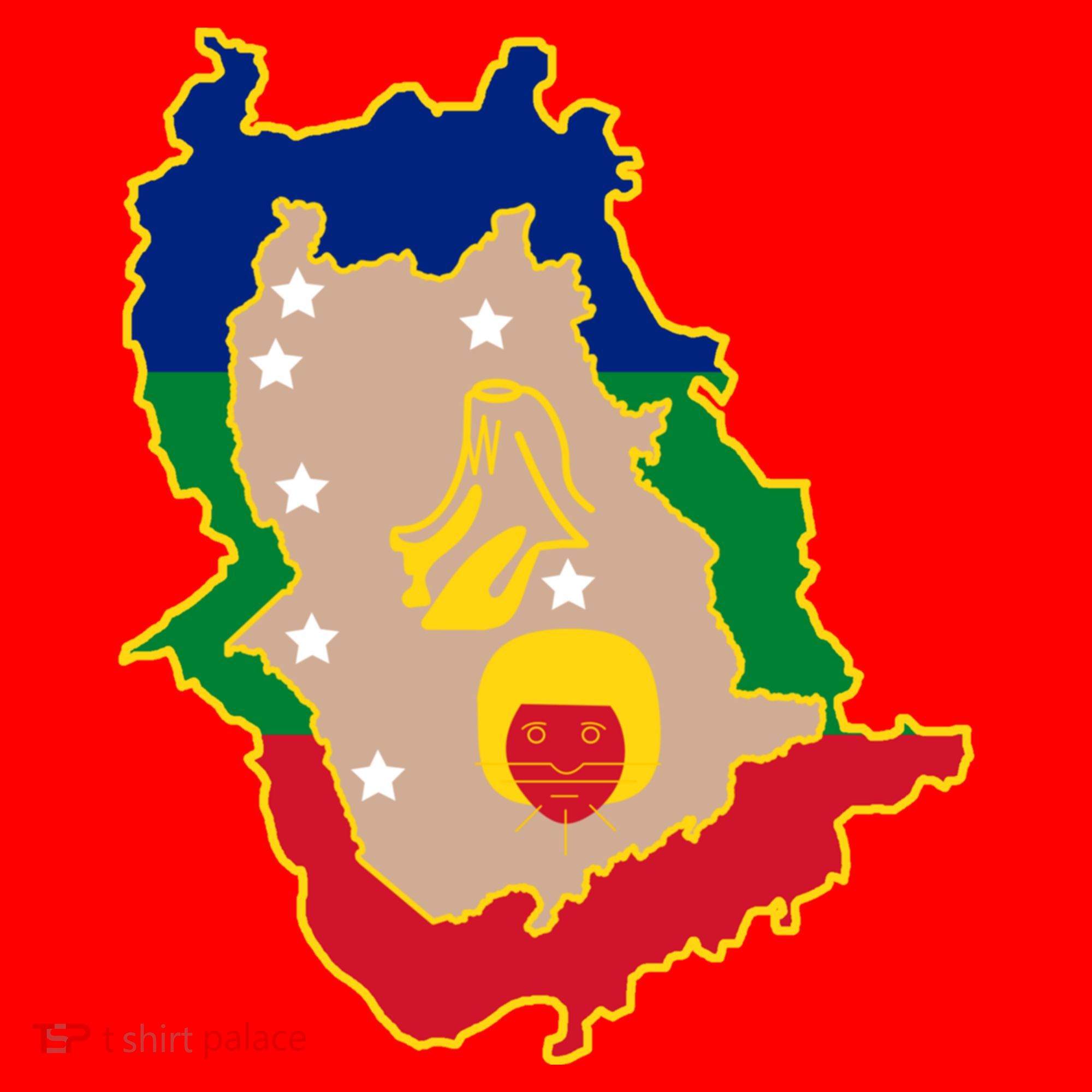 Flag Map Of Amazonas Venezuela Gift Santa Hat