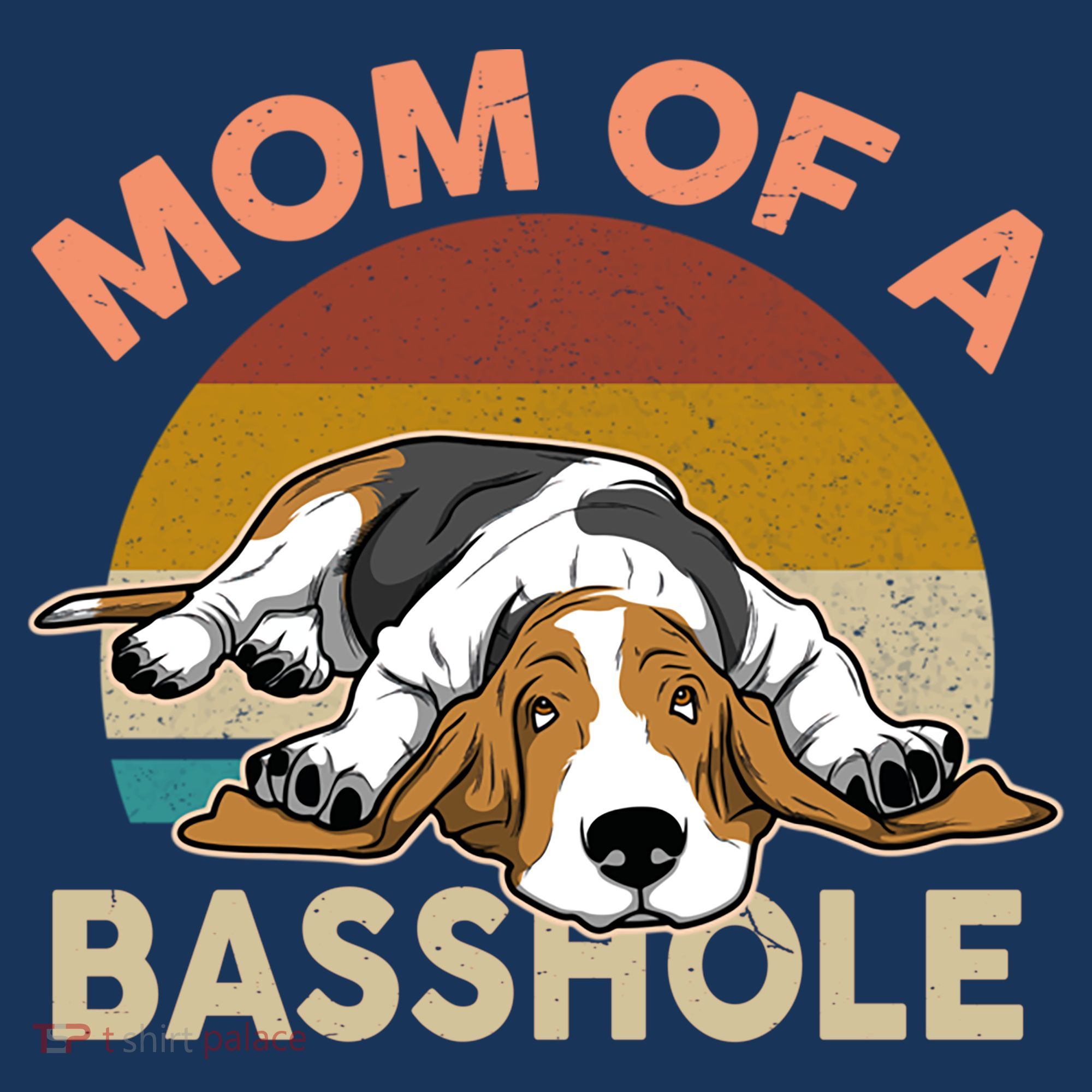 Funny Mom Of A Basshole Bassethound Gifts Women's Hoodie