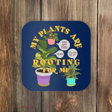 Coaster