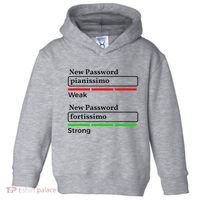 Funny Musician Password Classical Music Theory Class Jokes Toddler Hoodie thumb 0