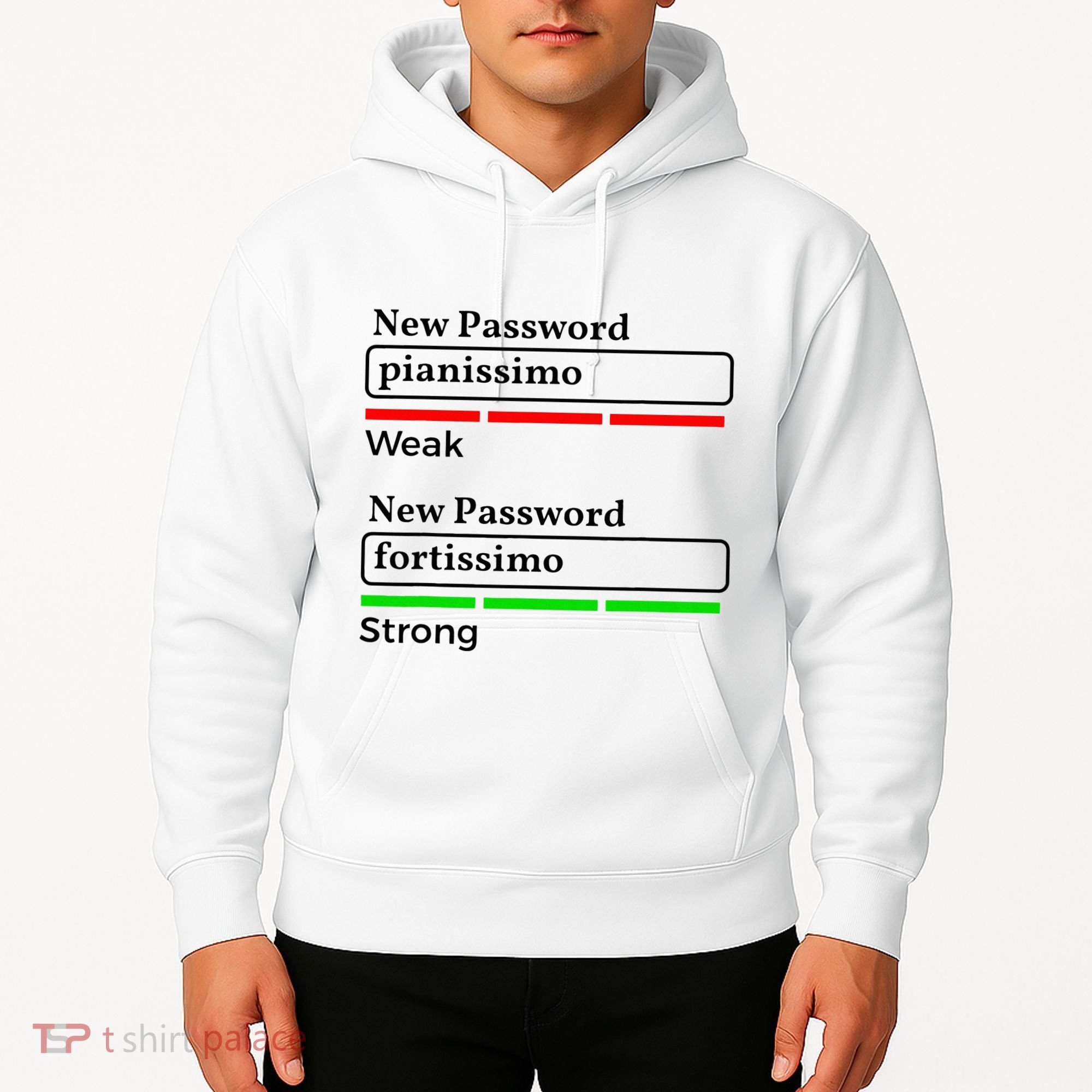 Funny Musician Password Classical Music Theory Class Jokes Hoodie