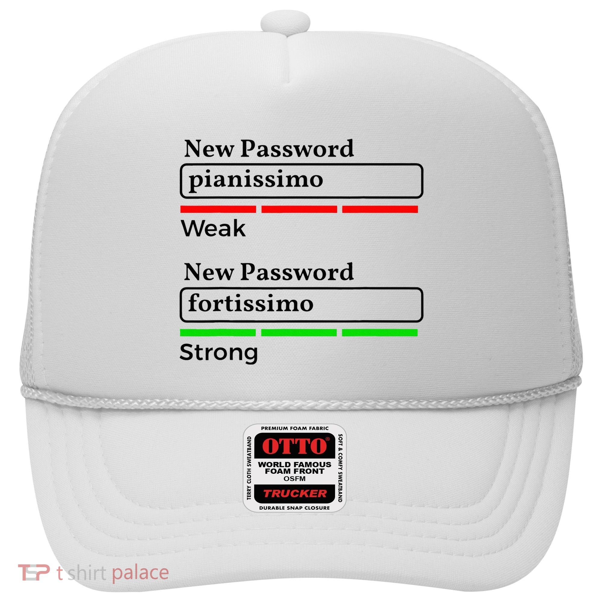 Funny Musician Password Classical Music Theory Class Jokes Hat