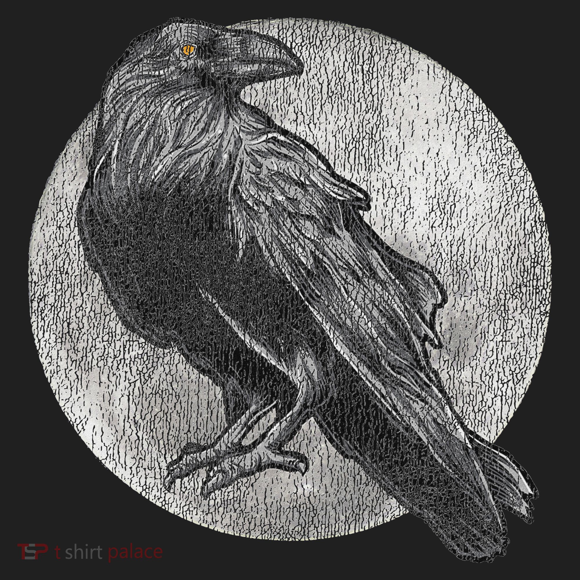 Full Moon Raven Bird Gift Scary Crow Beanie