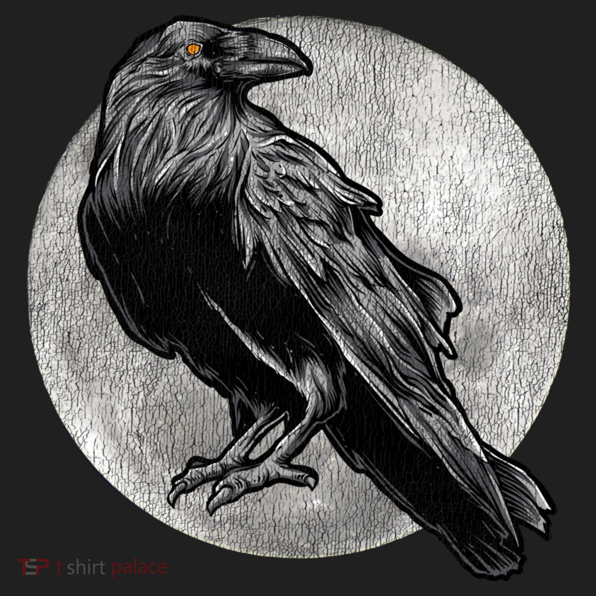 Full Moon Raven Bird Gift Scary Crow Hat
