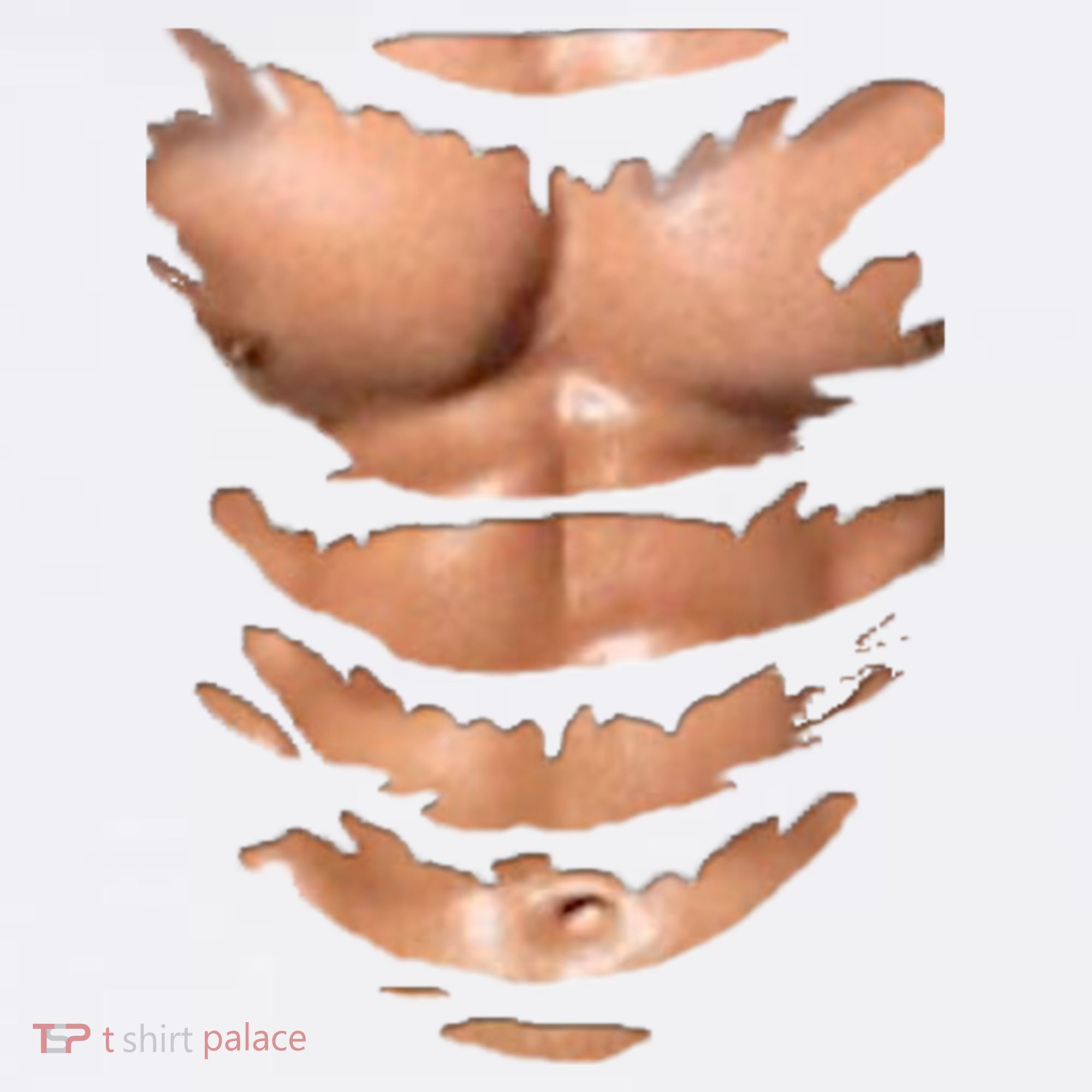 Fake Muscles Ripped Torn Chest Six Pack Abs Fitness Model Tank Top