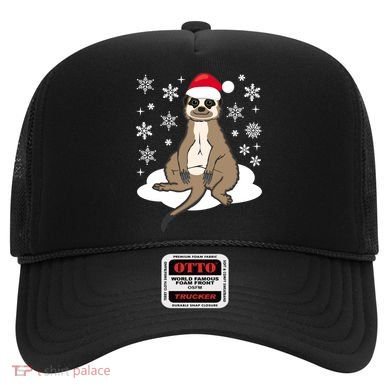 Funny Meerkat Santa Christmas Gift Classic Hat