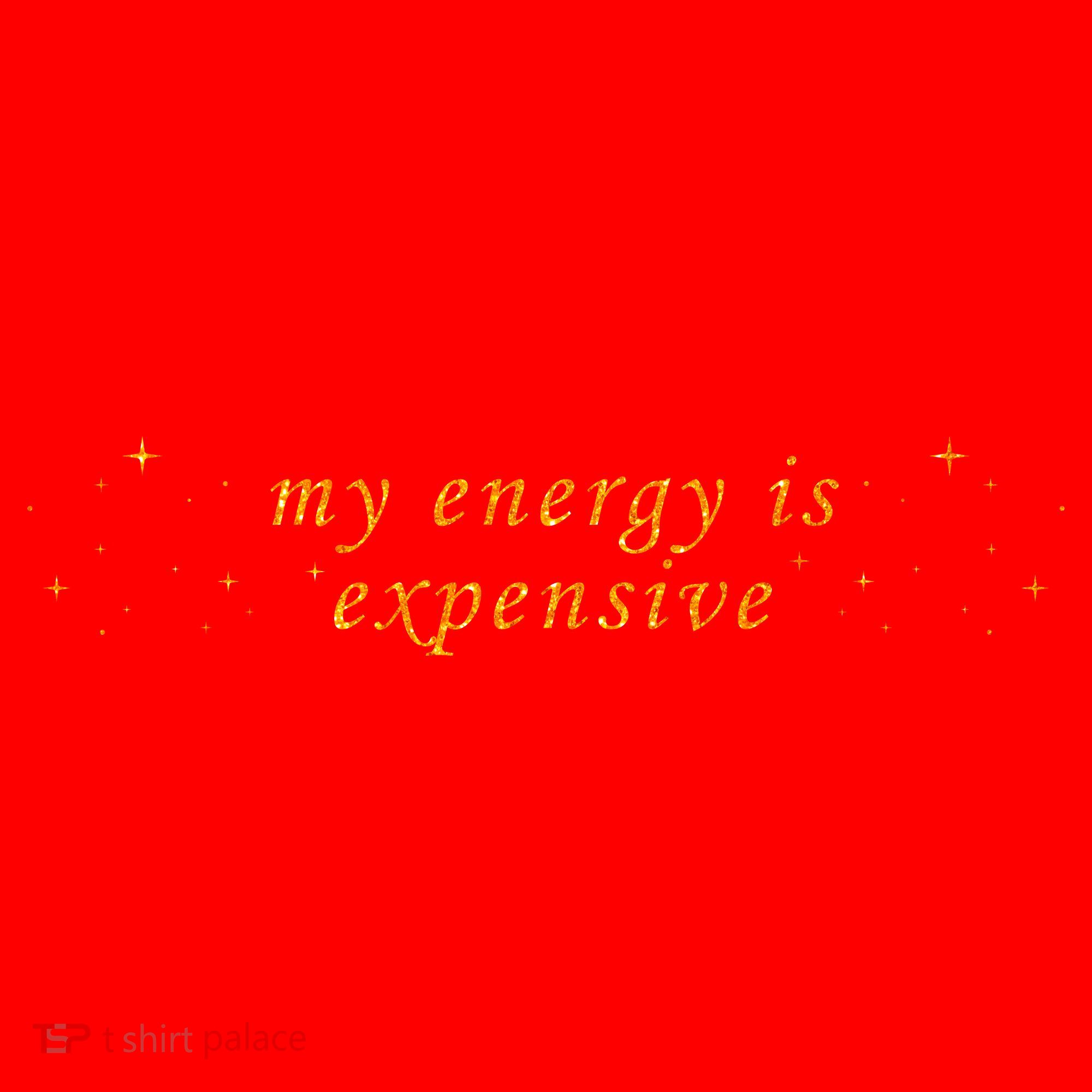 Funny Motivational Saying My Energy Is Expensive Santa Hat