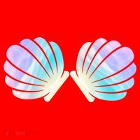 Funny Mermaid Shell Costume Gift Santa Hat thumb 1