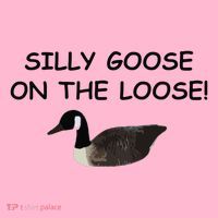 Funny Meme Silly Goose On The Loose Joke Coaster thumb 2