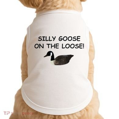 Funny Meme Silly Goose On The Loose Joke Doggie Tank