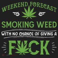 Funny Marijuana Smoking Weed Weekend Forecast Stoner Gift Tumbler thumb 3